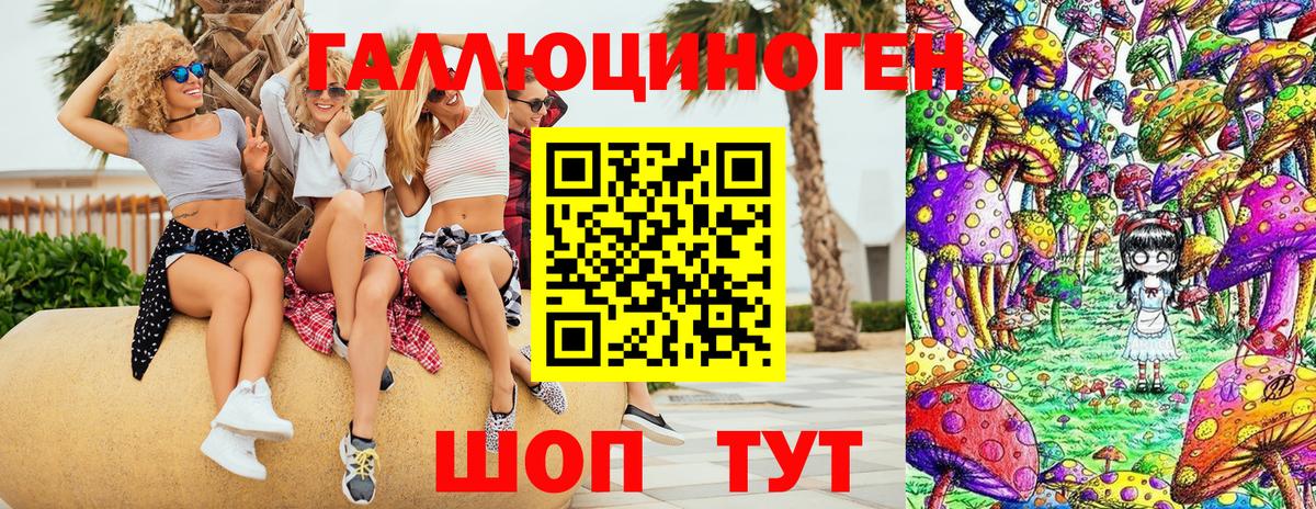 Курган  Галлюциногенные грибы Cubensis  Вход с VPN 